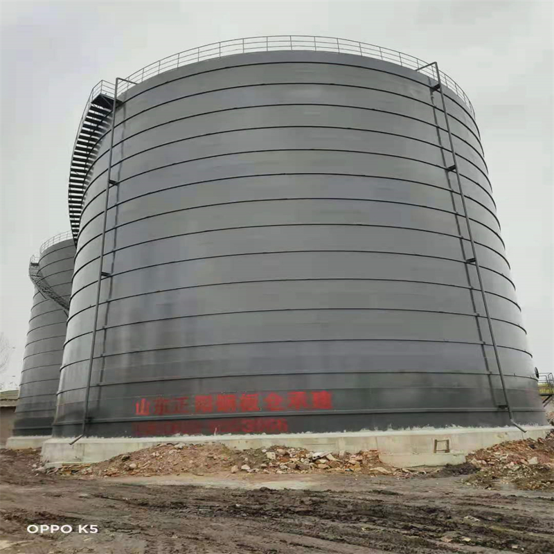 安义3万吨大型钢板库